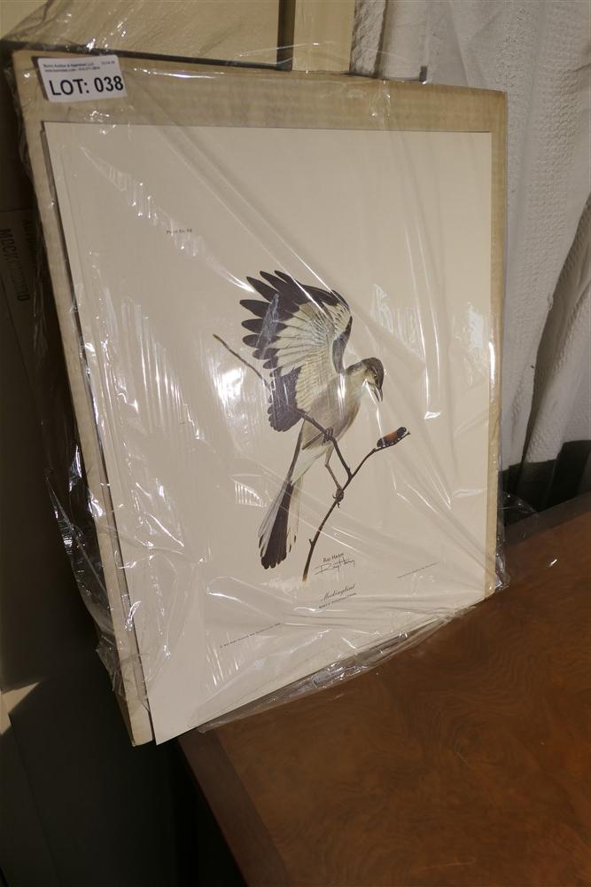 Signed bird print by Ray Harm