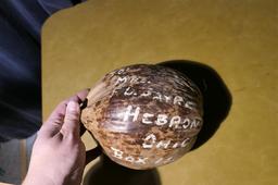 WWII Coconut sent by William "Bud" Sayre to Father Fred in Hebron.