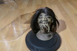 Unusual old Shrunken Head under Glass