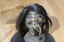 Unusual old Shrunken Head under Glass