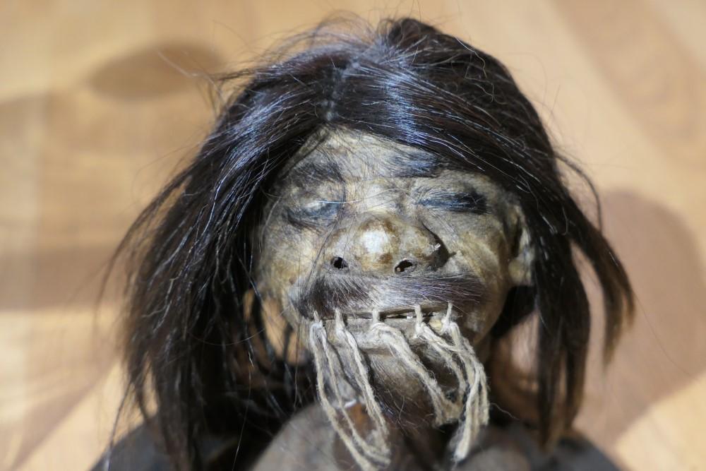 Unusual old Shrunken Head under Glass