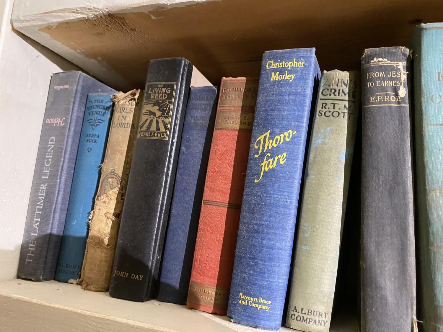 Dozens of vintage books on shelf PLUS