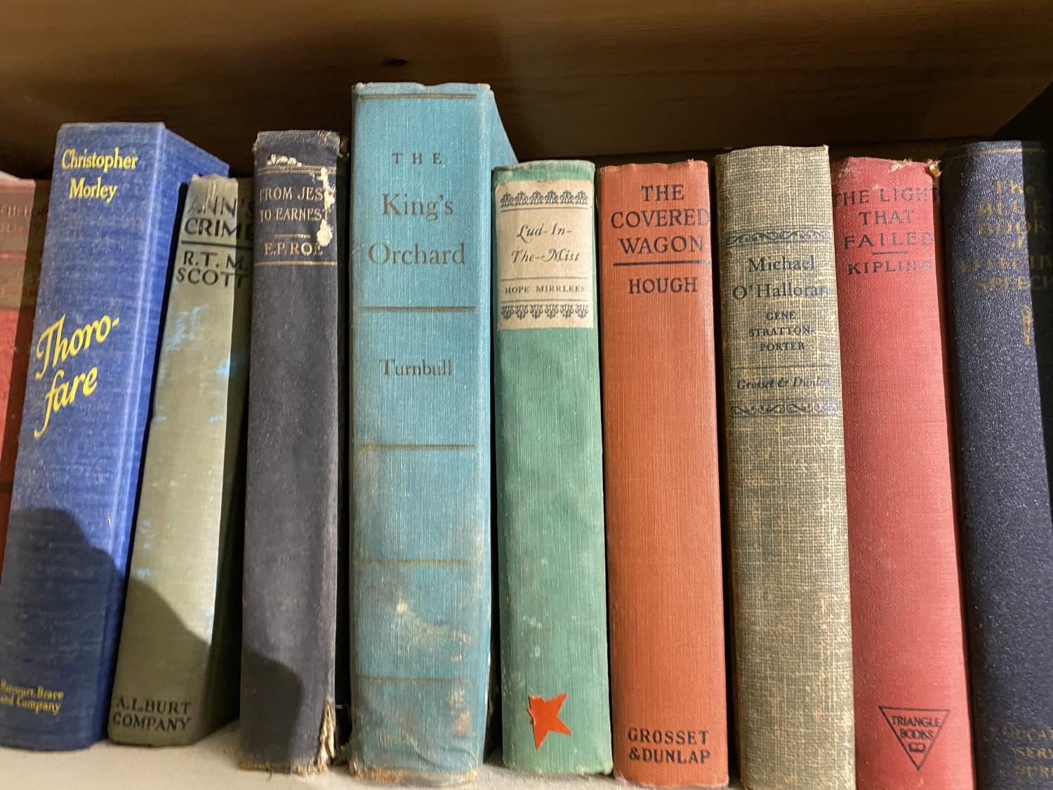 Dozens of vintage books on shelf PLUS