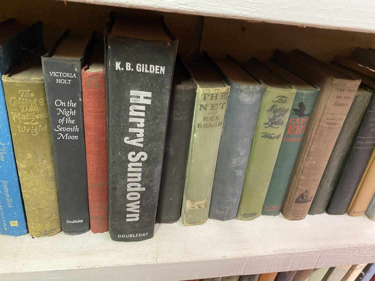 Dozens of vintage books on shelf PLUS