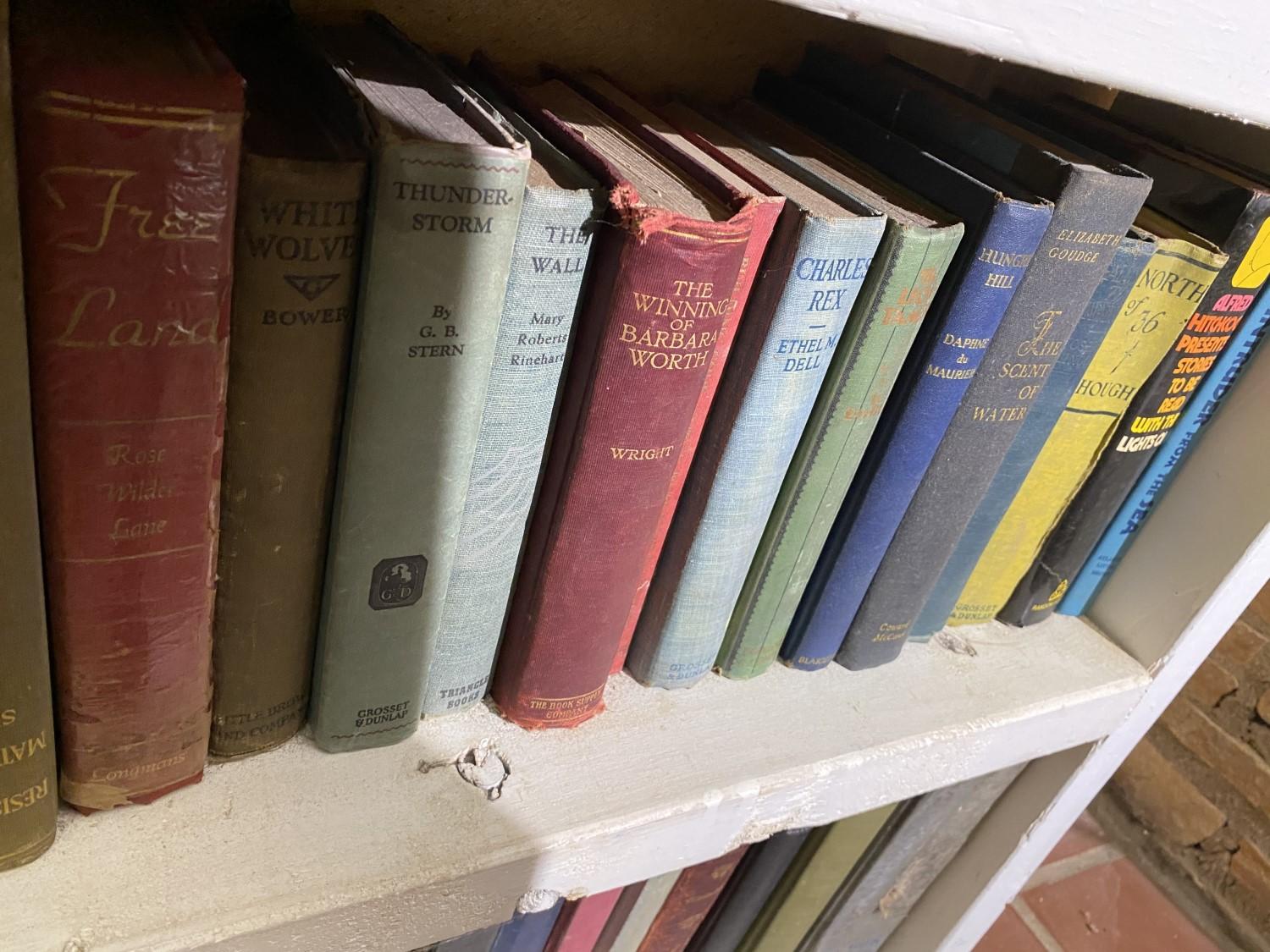 Dozens of vintage books on shelf PLUS