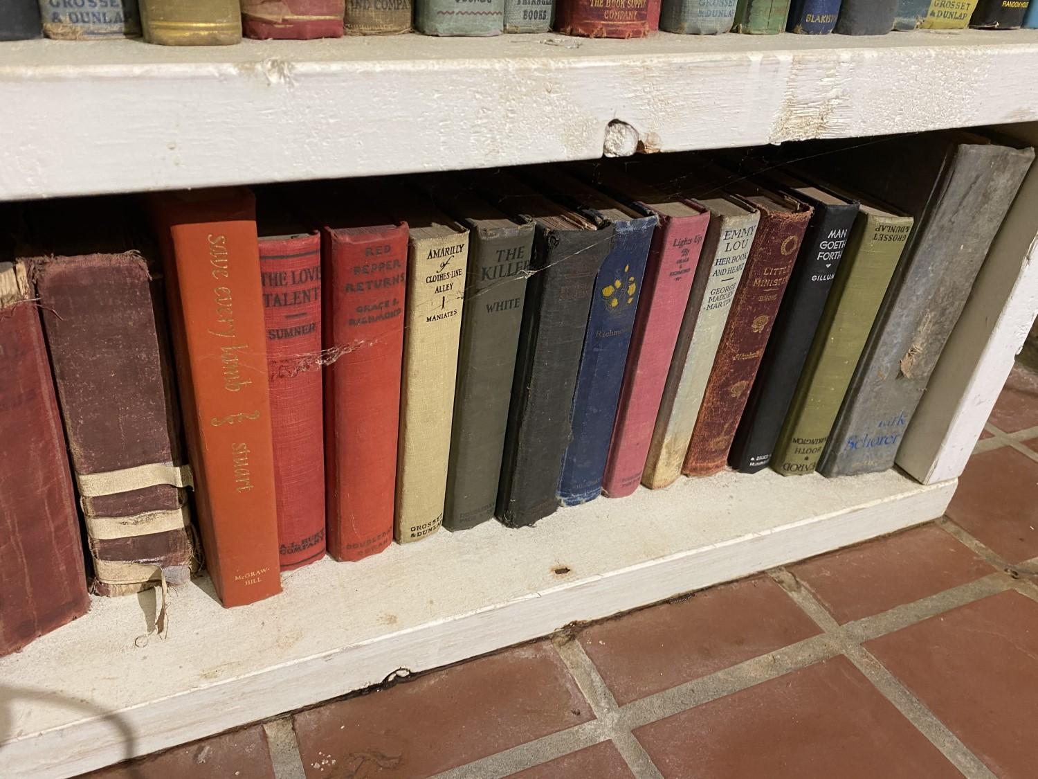 Dozens of vintage books on shelf PLUS