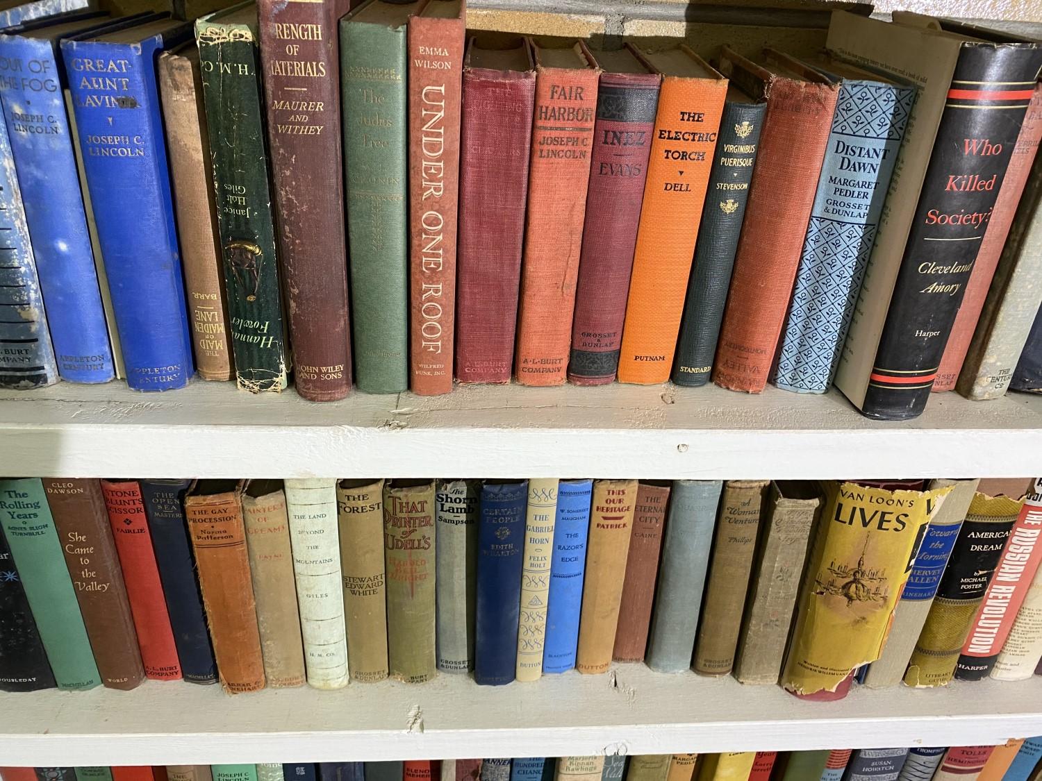 Dozens of vintage books on shelf PLUS