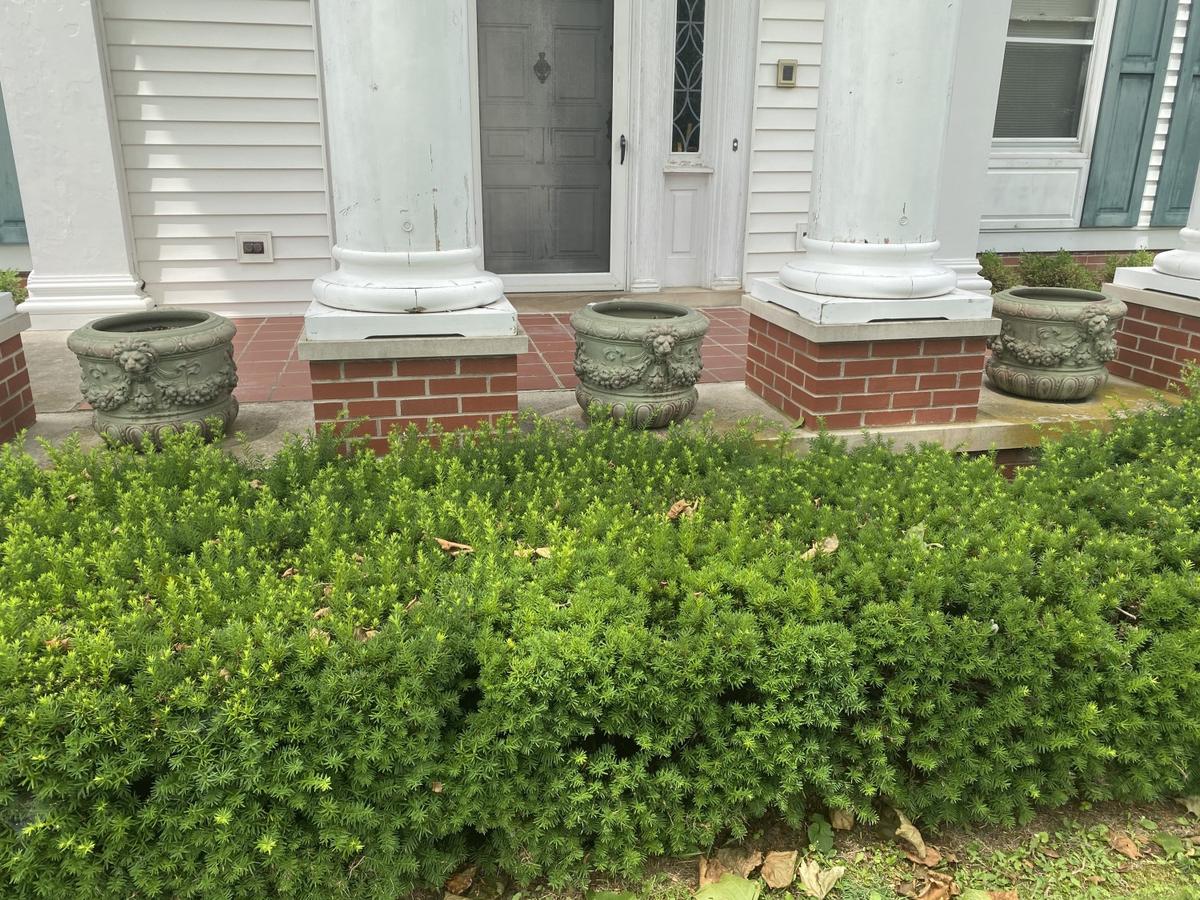 3 Terracotta Lion Head Planters c. 1930s