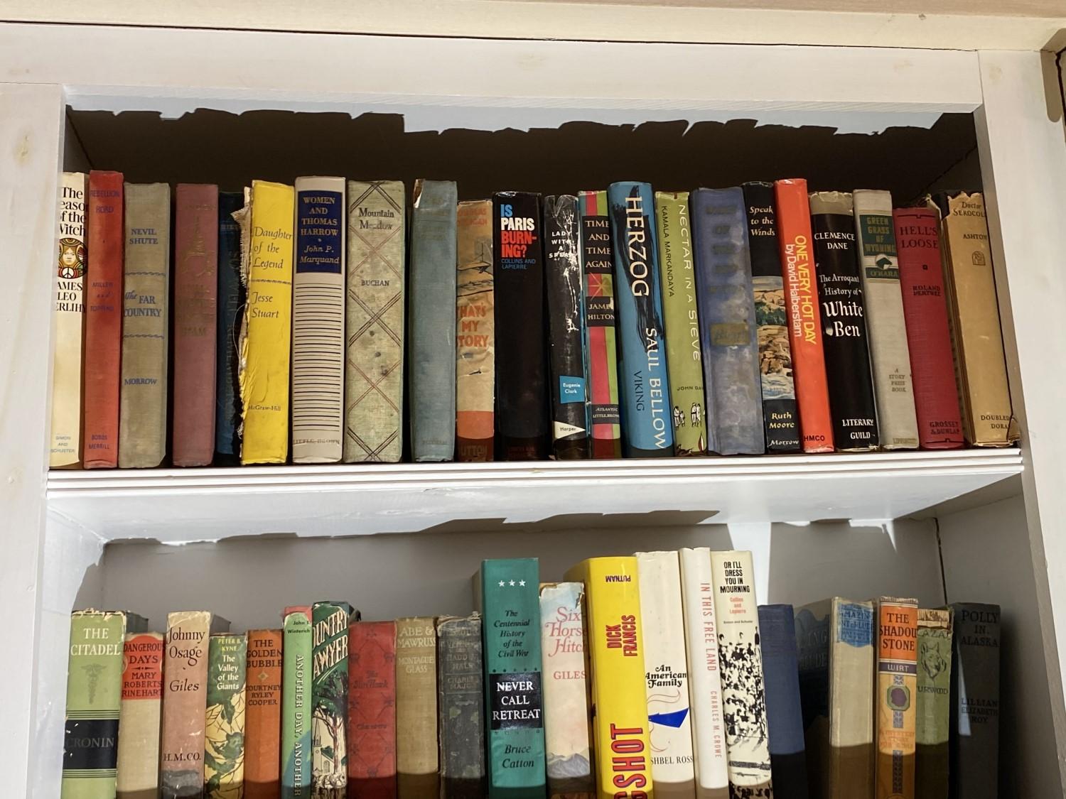 All vintage booked on bookshelf lot