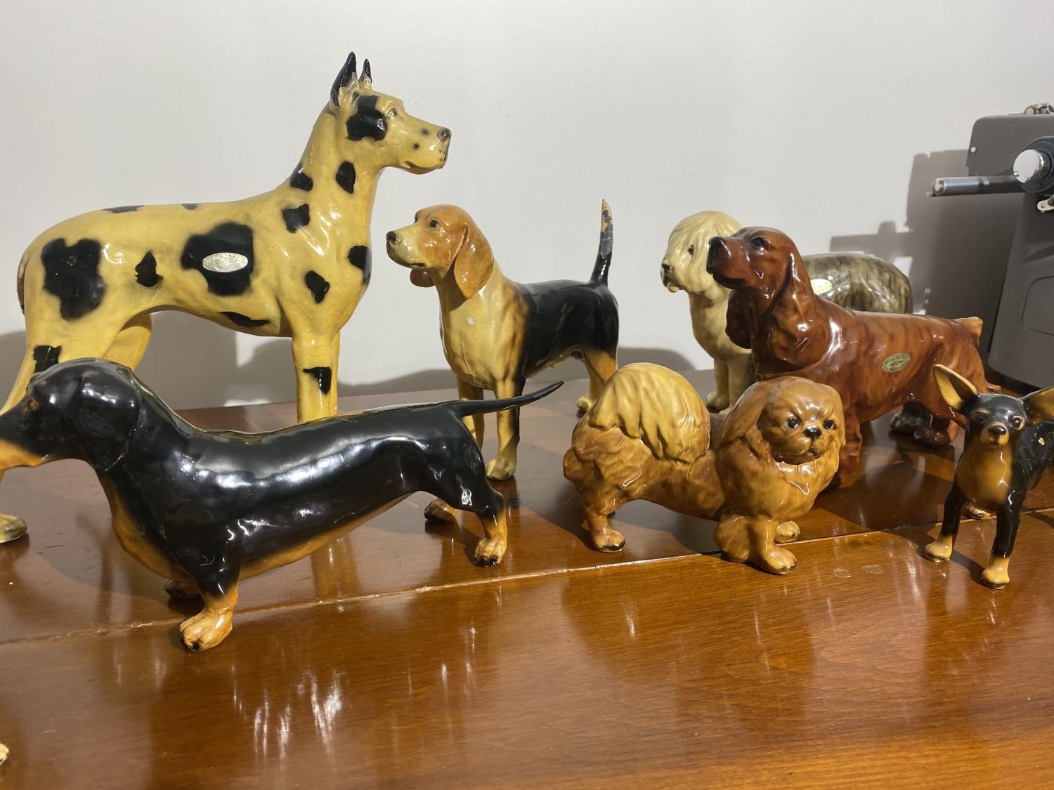 Large grouping of Morten studio dogs