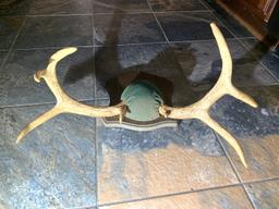 Deer Antler Mount