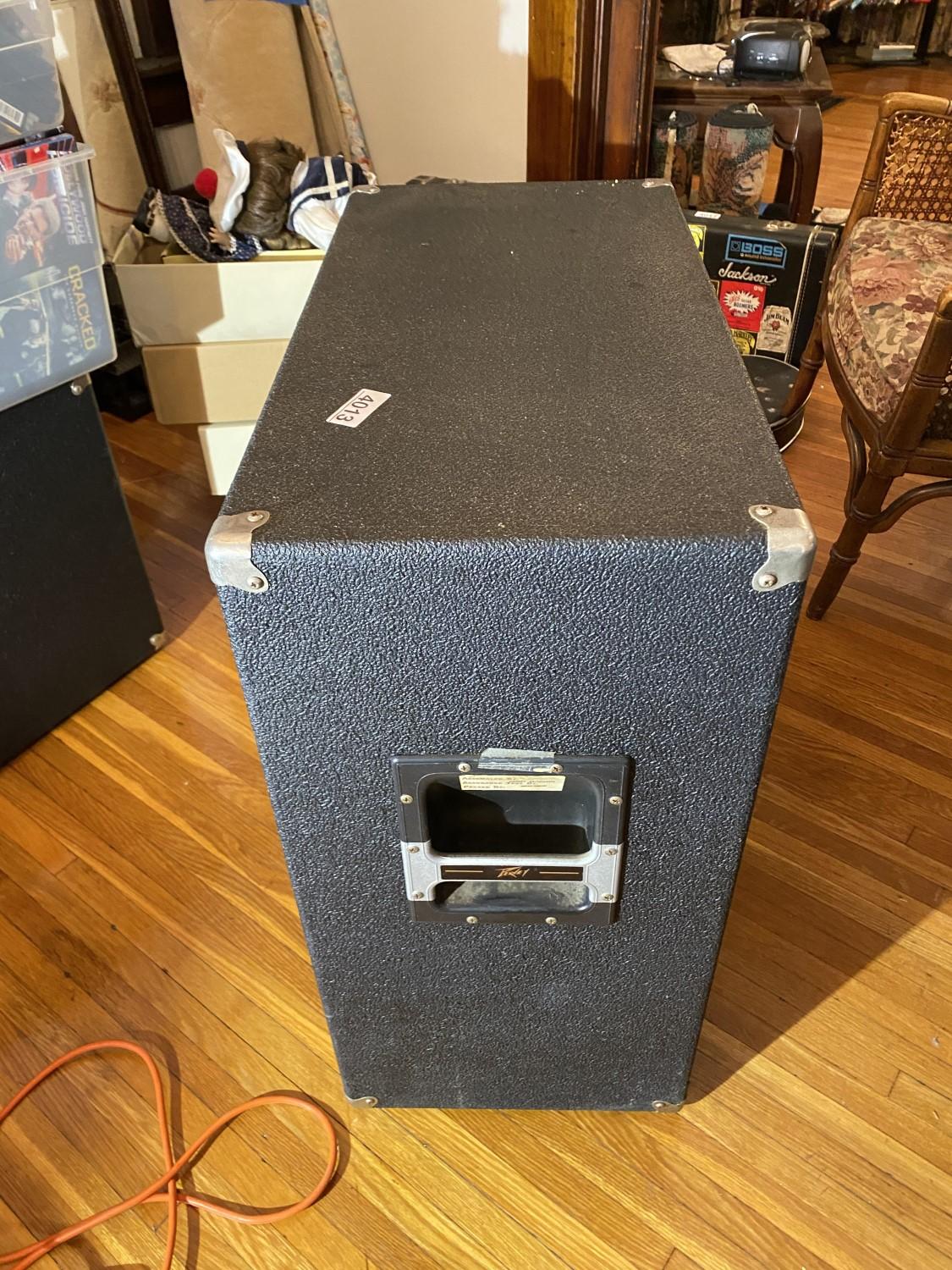 Vintage Large Peavey Speaker Cabinet