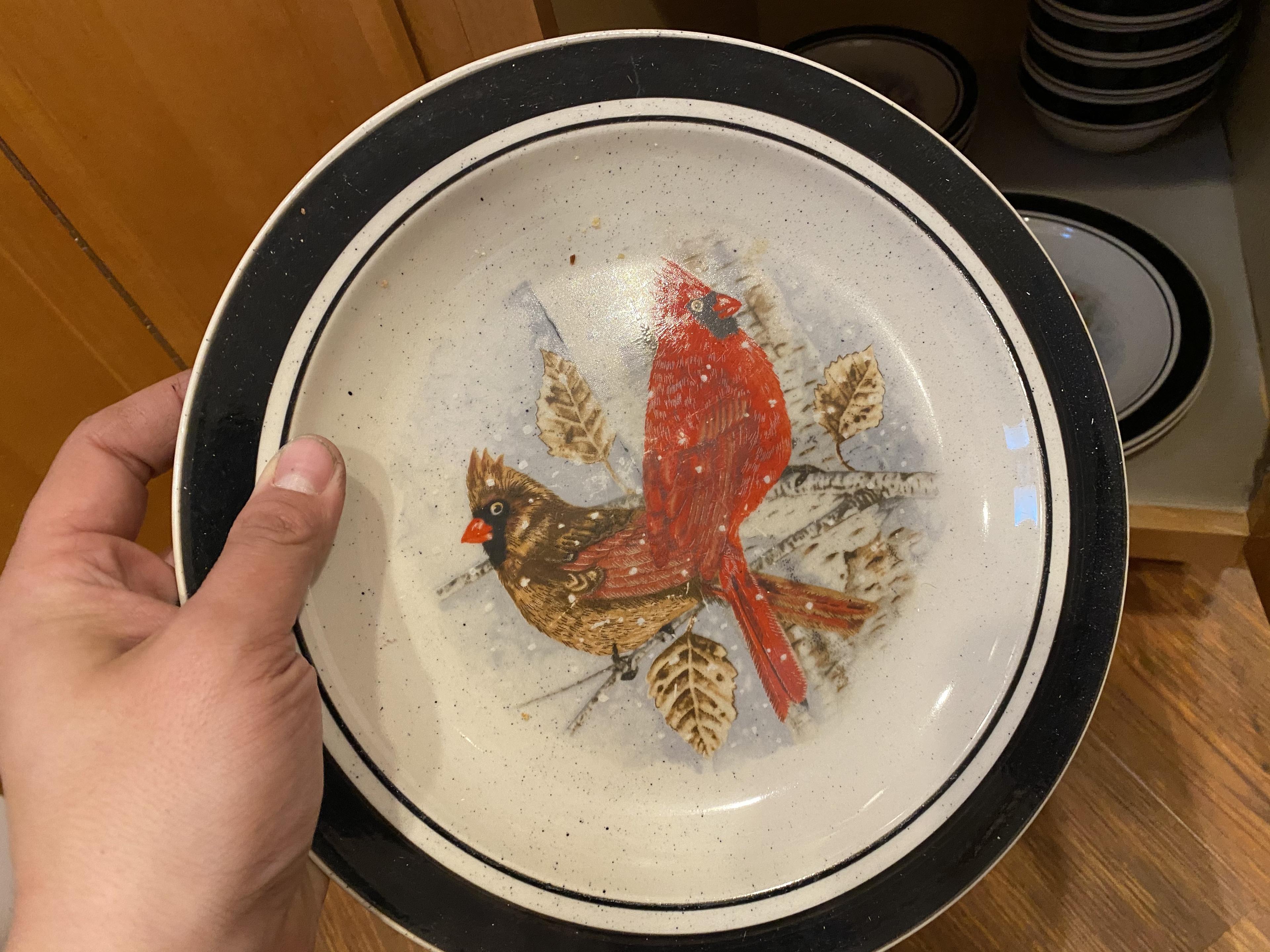 Set of Cardinal bird dinnerware