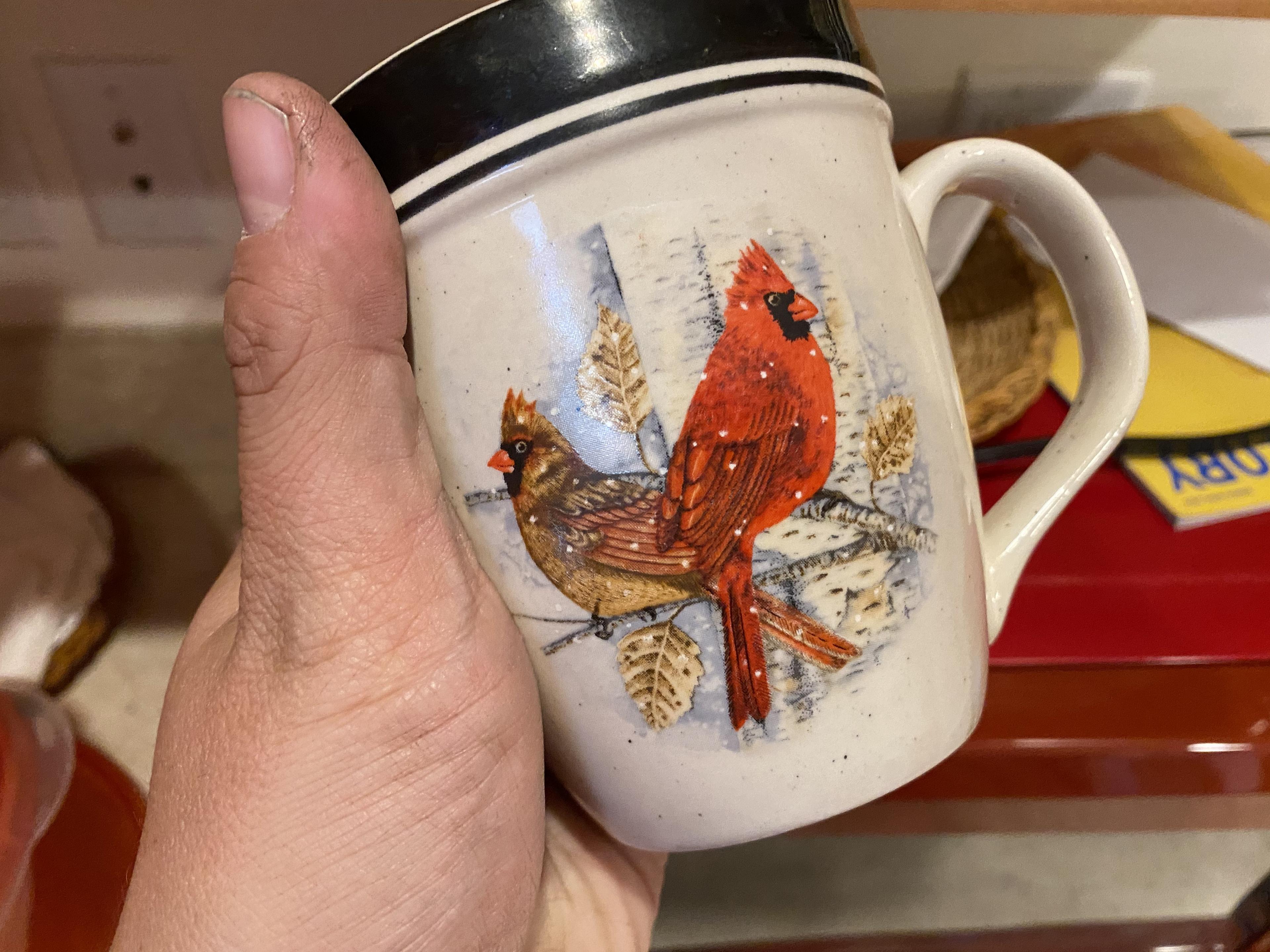 Set of Cardinal bird dinnerware