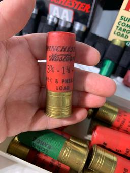 Assortment of 12 Gauge Shells. See Photos