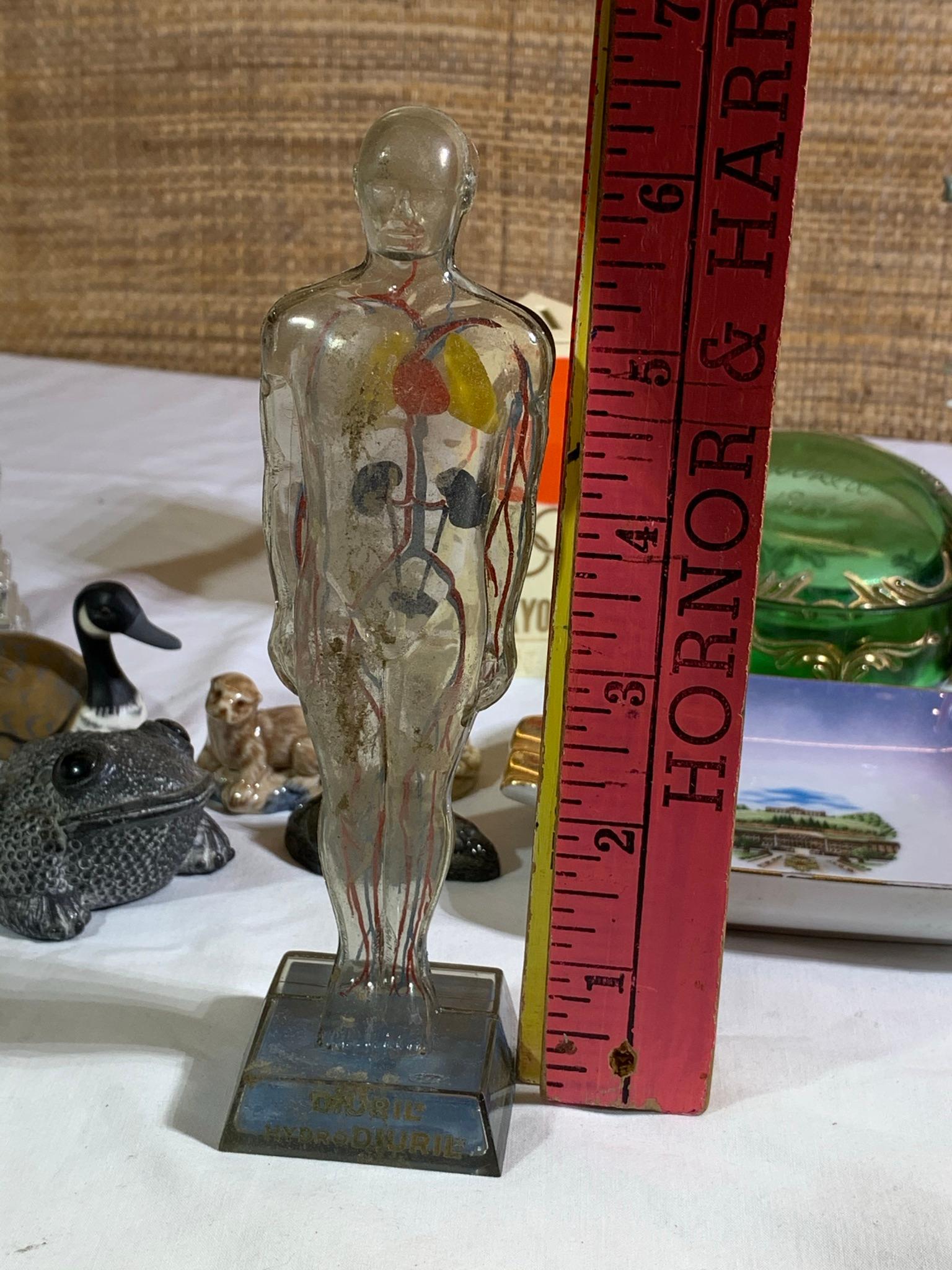 Vintage 1950s Small Clear Anatomical Model of Human Body, Eigl Ashtray,  Bank & More.