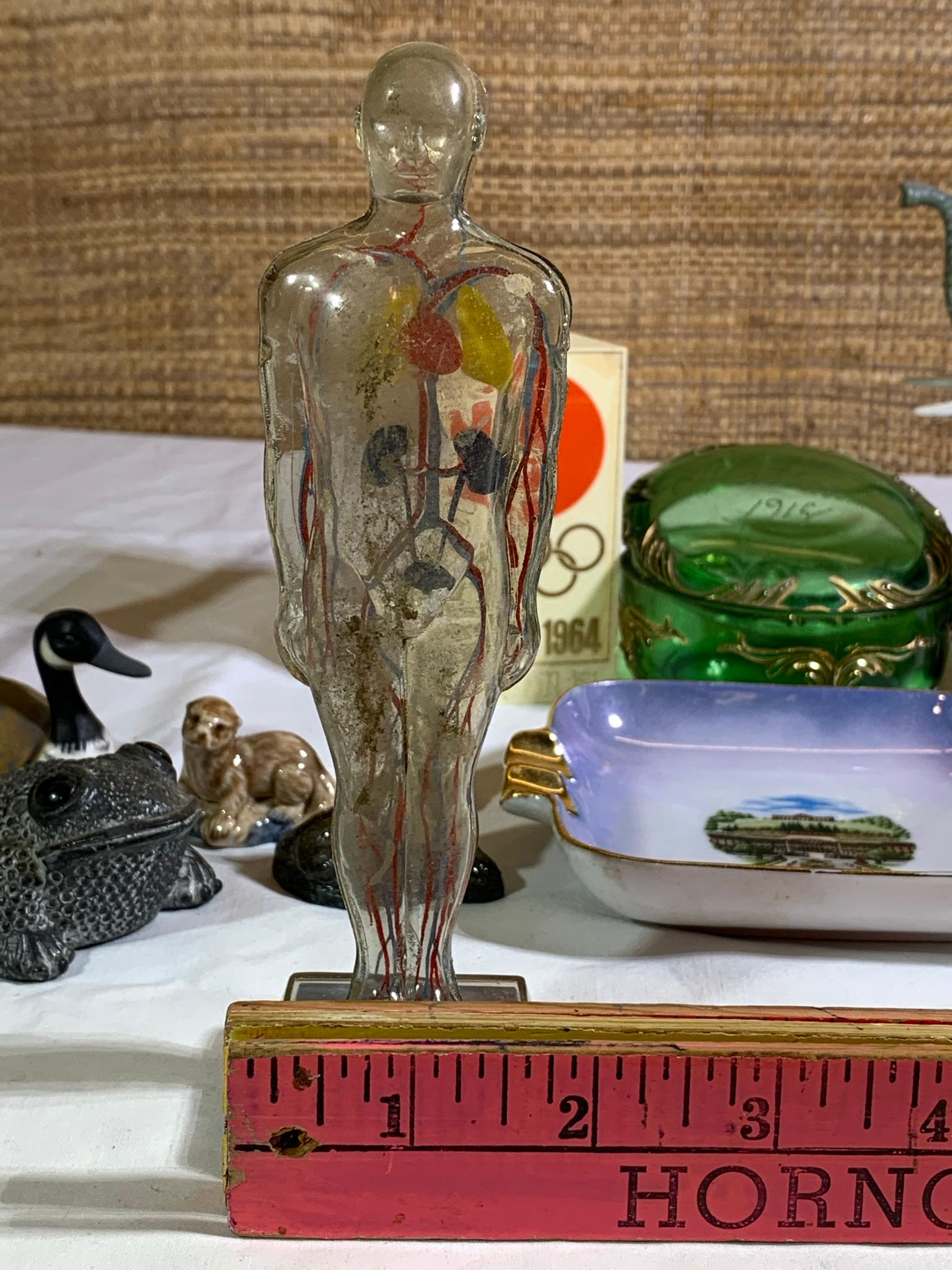 Vintage 1950s Small Clear Anatomical Model of Human Body, Eigl Ashtray,  Bank & More.