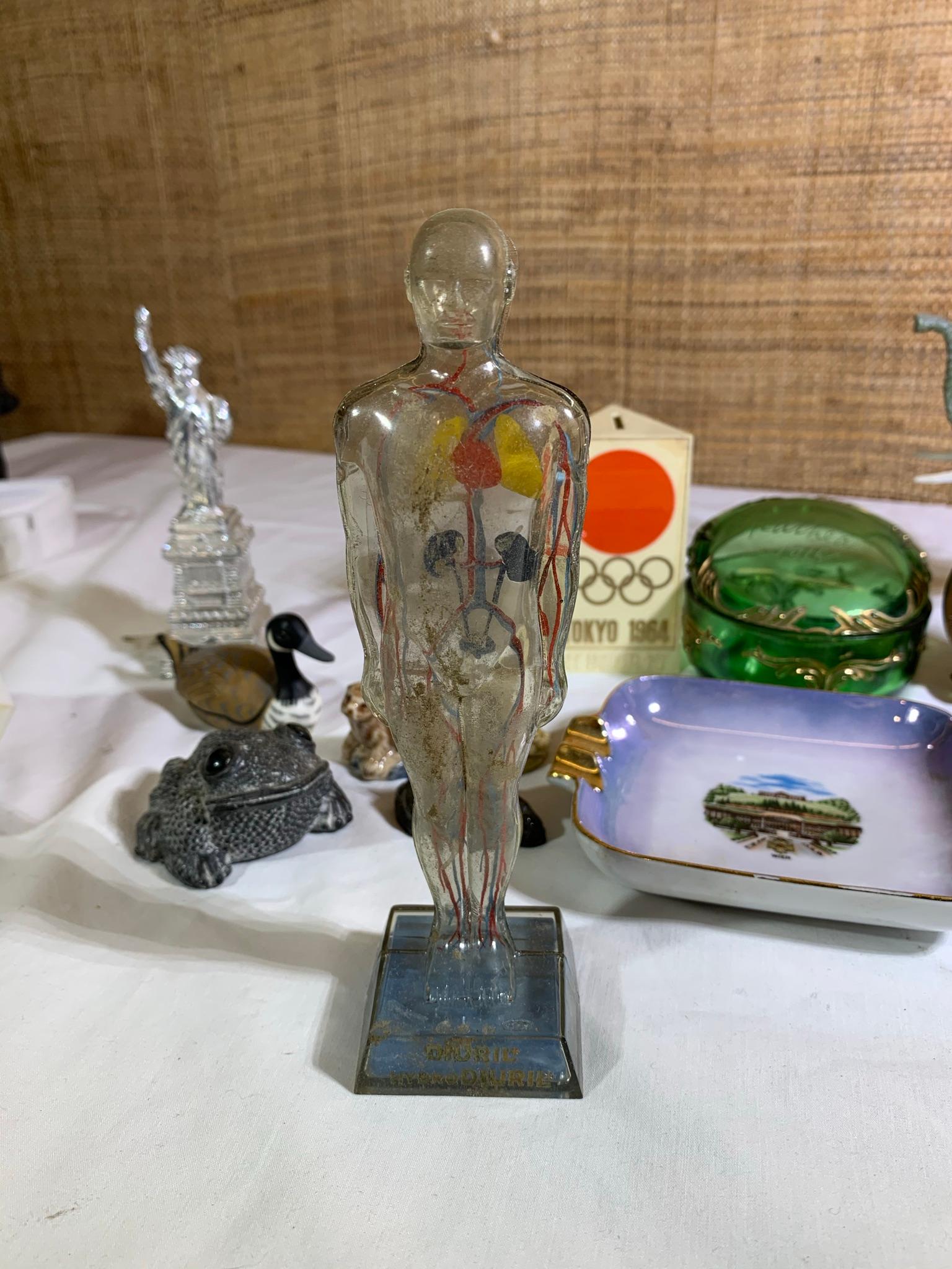 Vintage 1950s Small Clear Anatomical Model of Human Body, Eigl Ashtray,  Bank & More.