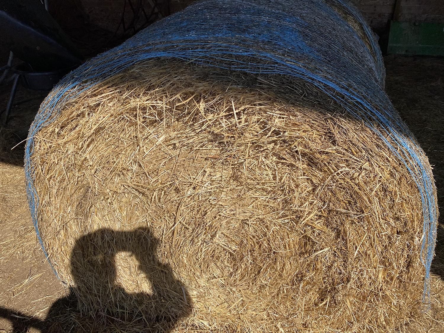 Four large hay bales