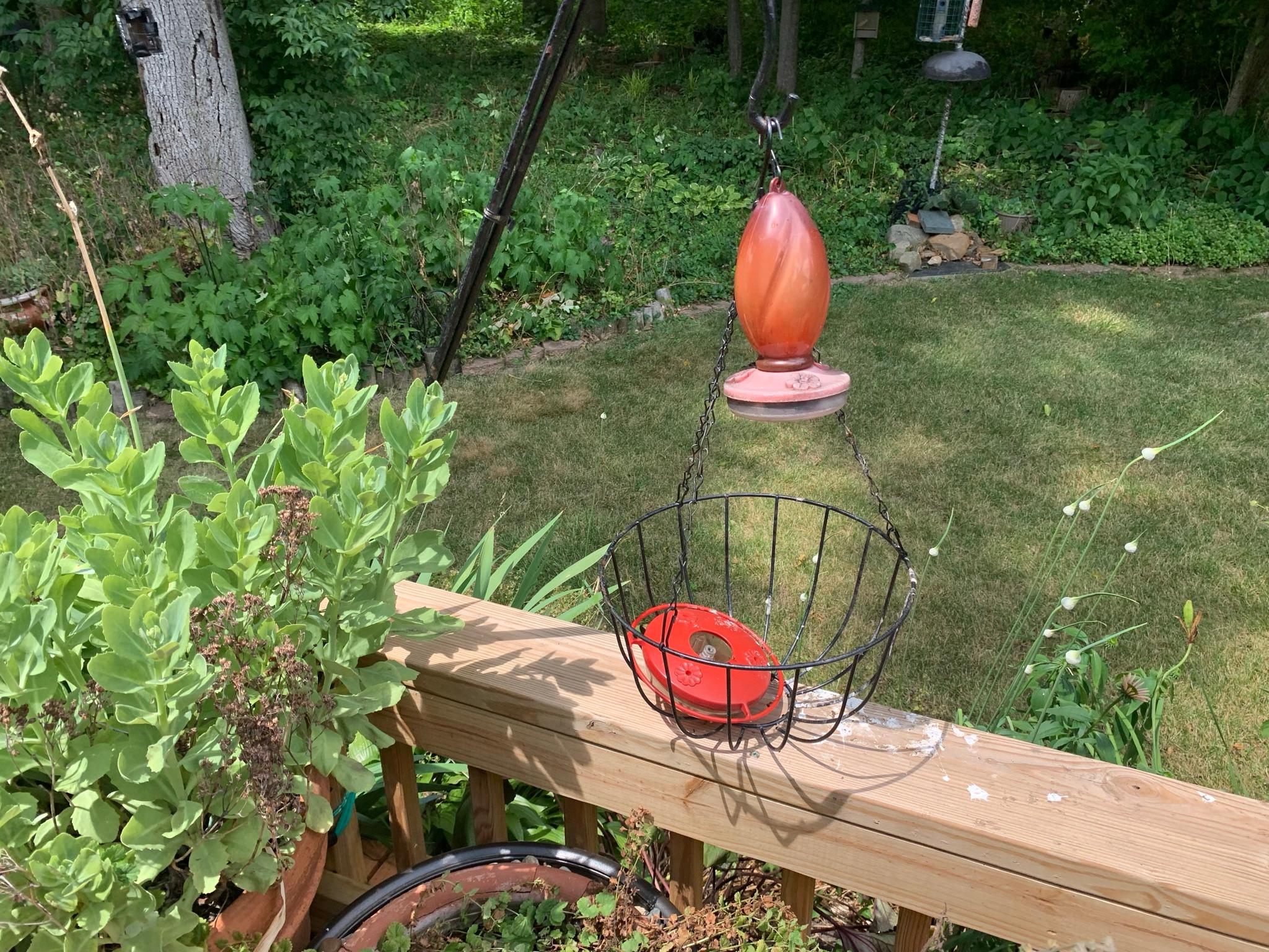 Iron Bird Bath, Planters & More