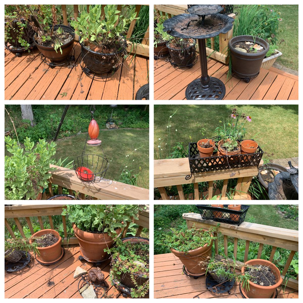 Iron Bird Bath, Planters & More