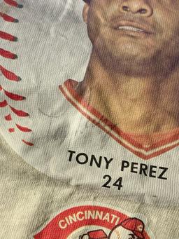 Vintage Tony Perez Reds Shirt & Antique Dress