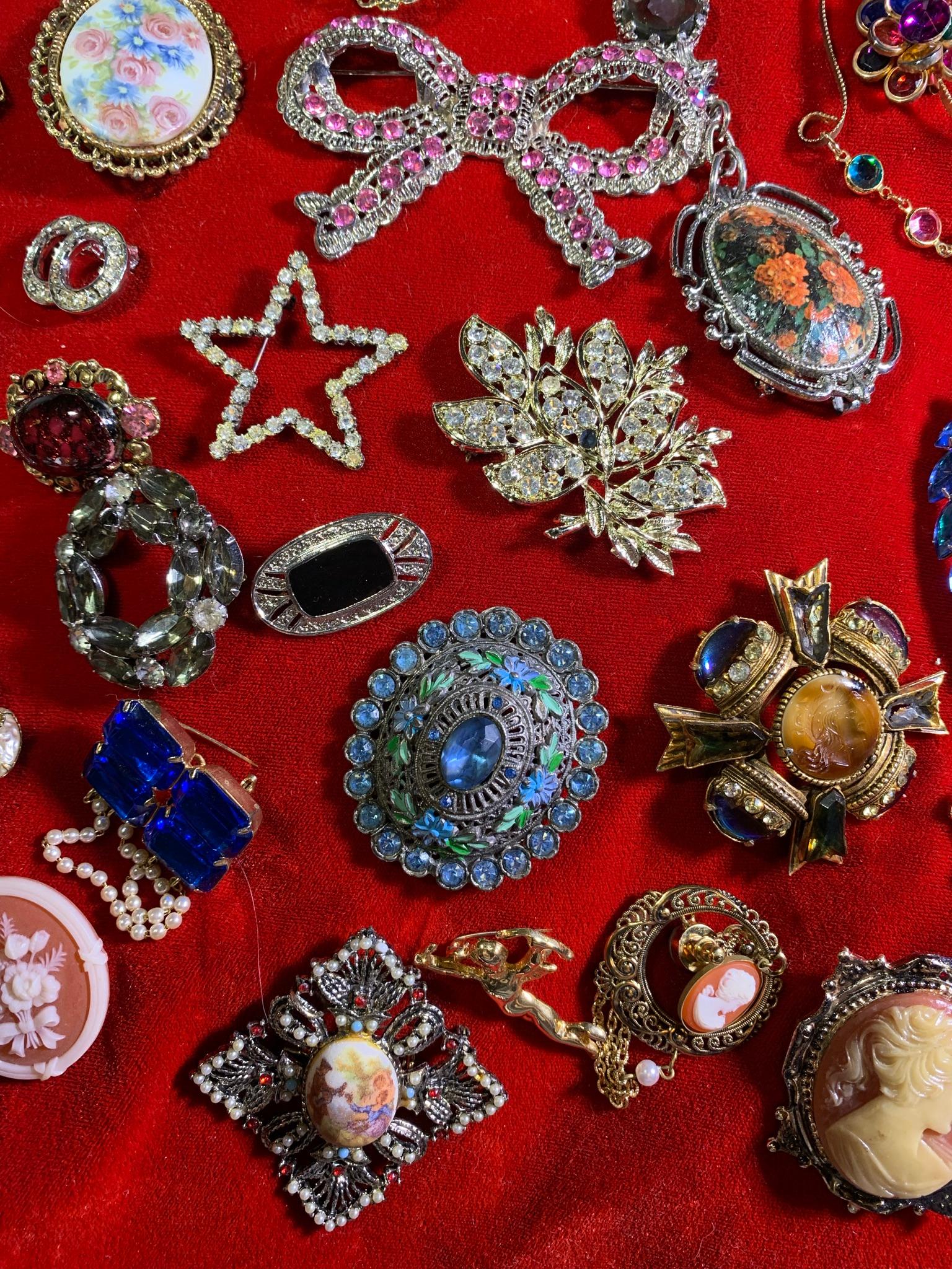 Great Group of Costume Brooches