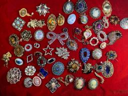 Great Group of Costume Brooches