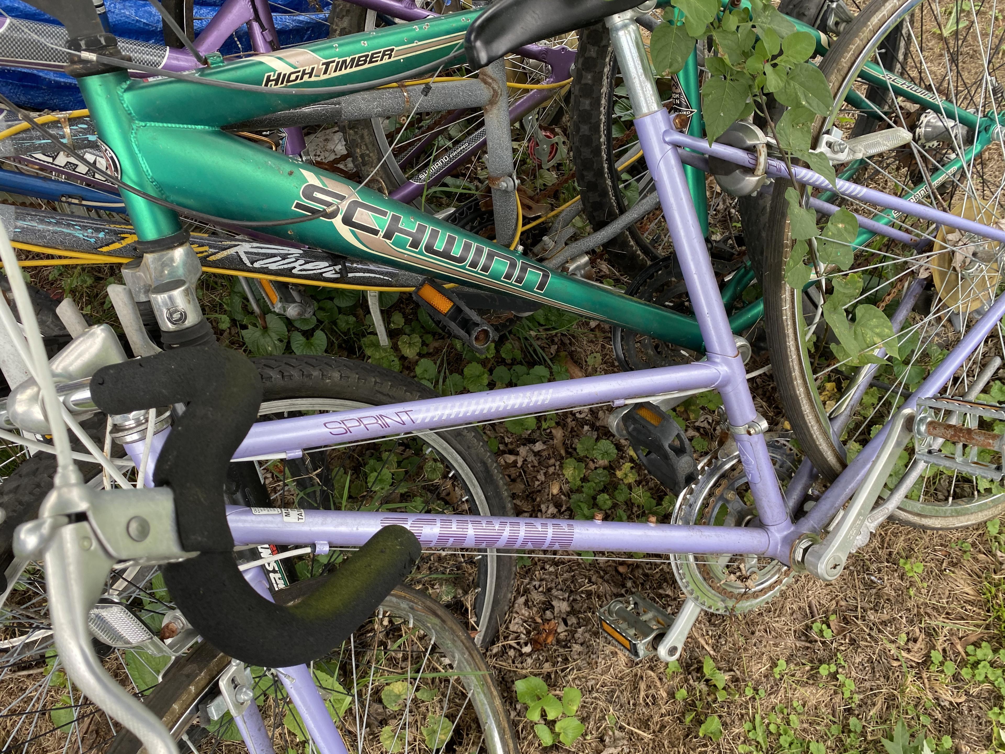 Group of 6 bicycles - Mostly Schwinn