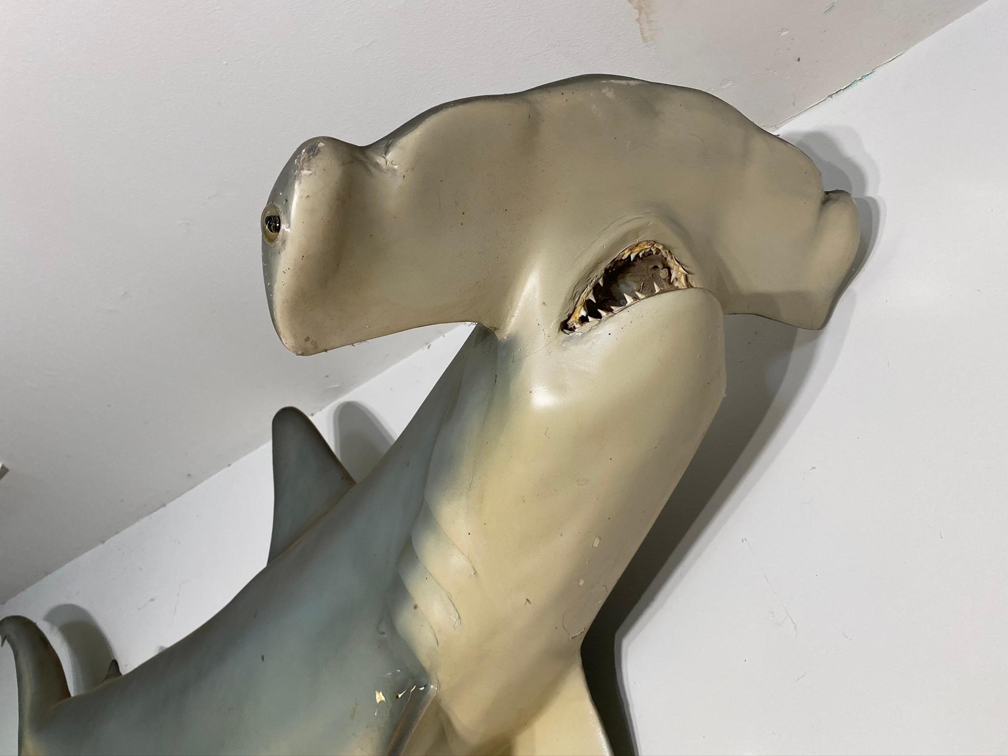 7' long Vintage Hammerhead Shark Wall Hanging