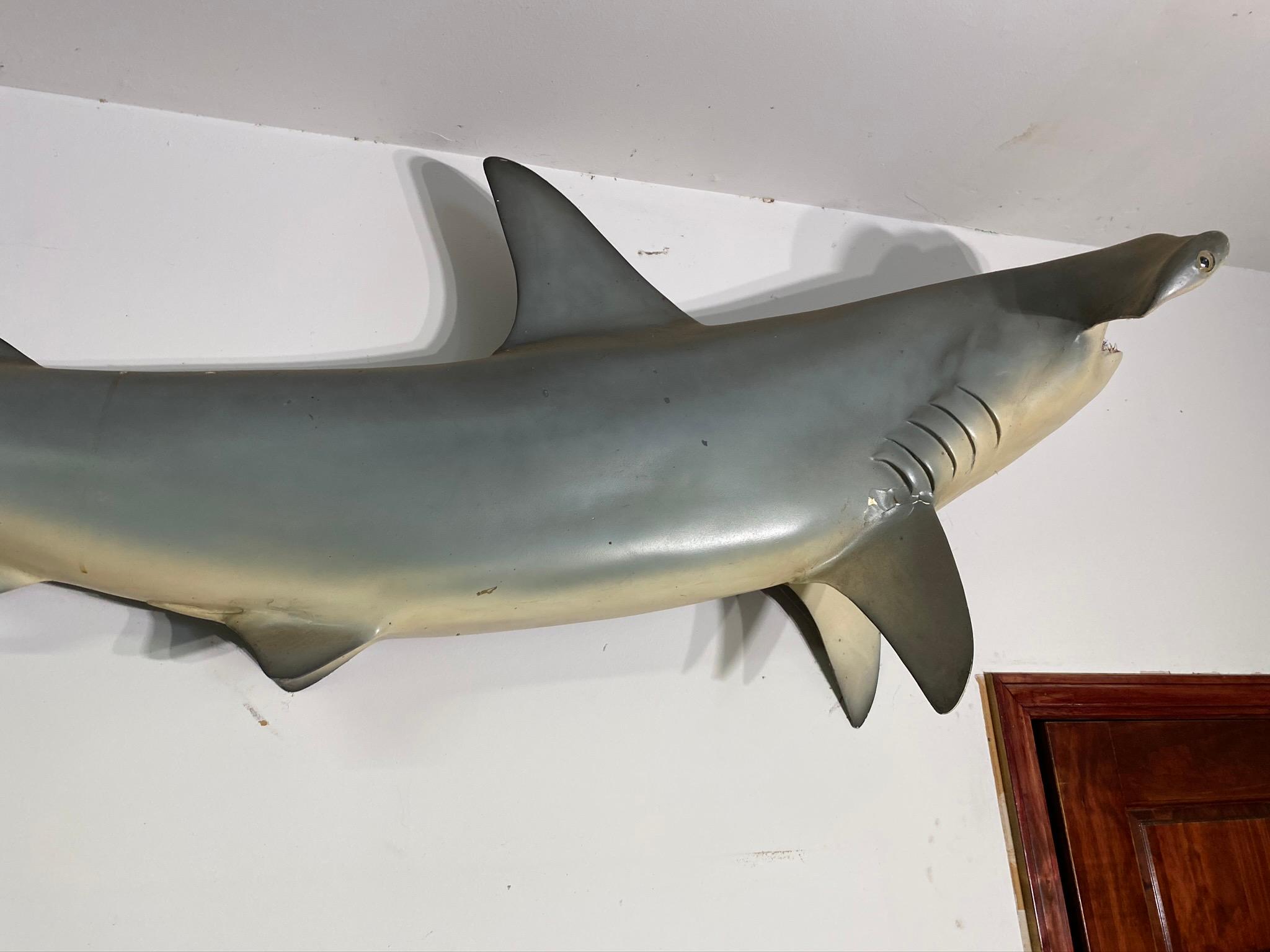 7' long Vintage Hammerhead Shark Wall Hanging