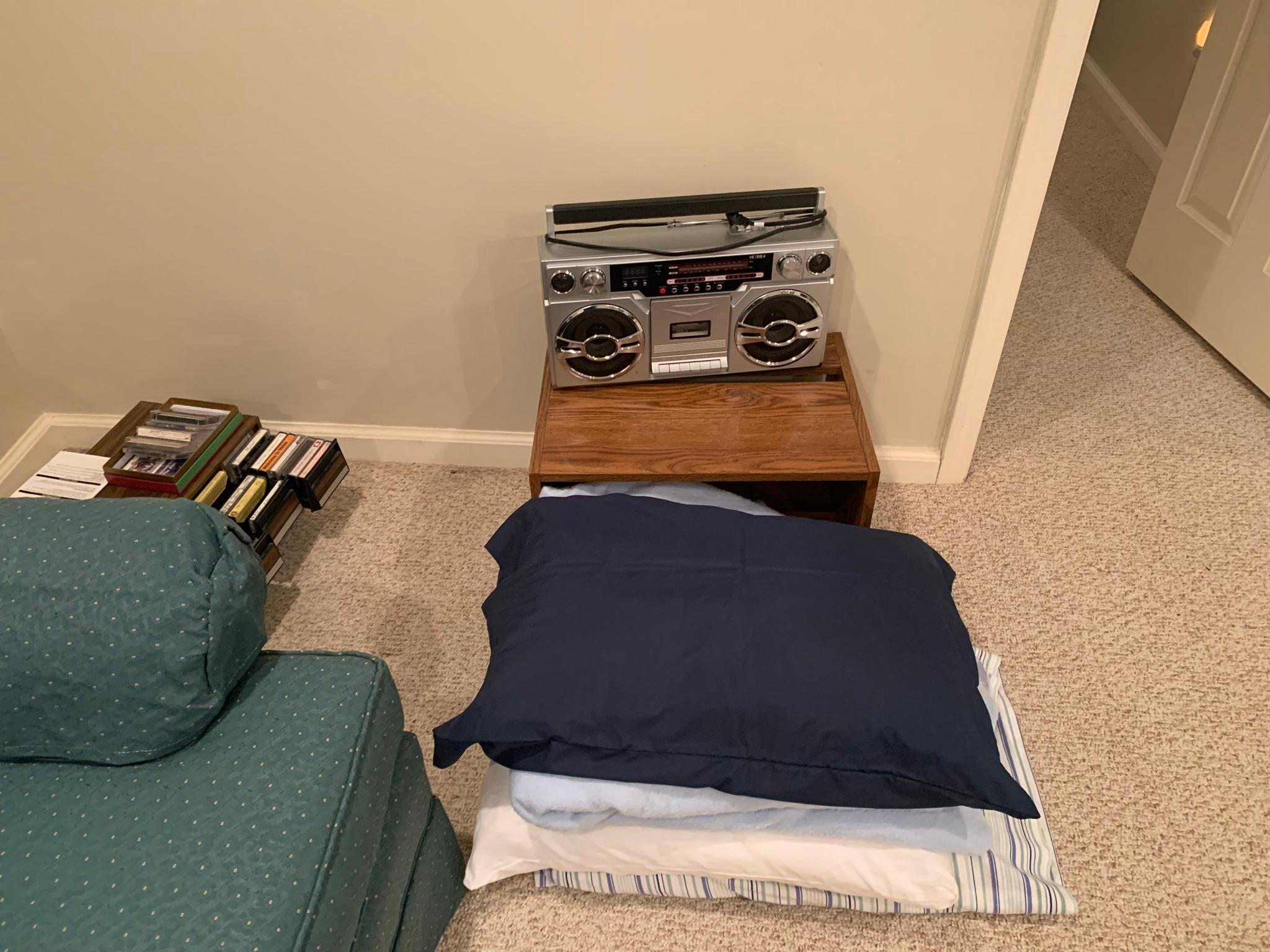 Clean Out Basement Room - Sofa, Side Stand, Shelves, Cassette Tapes, Bathroom Items & More