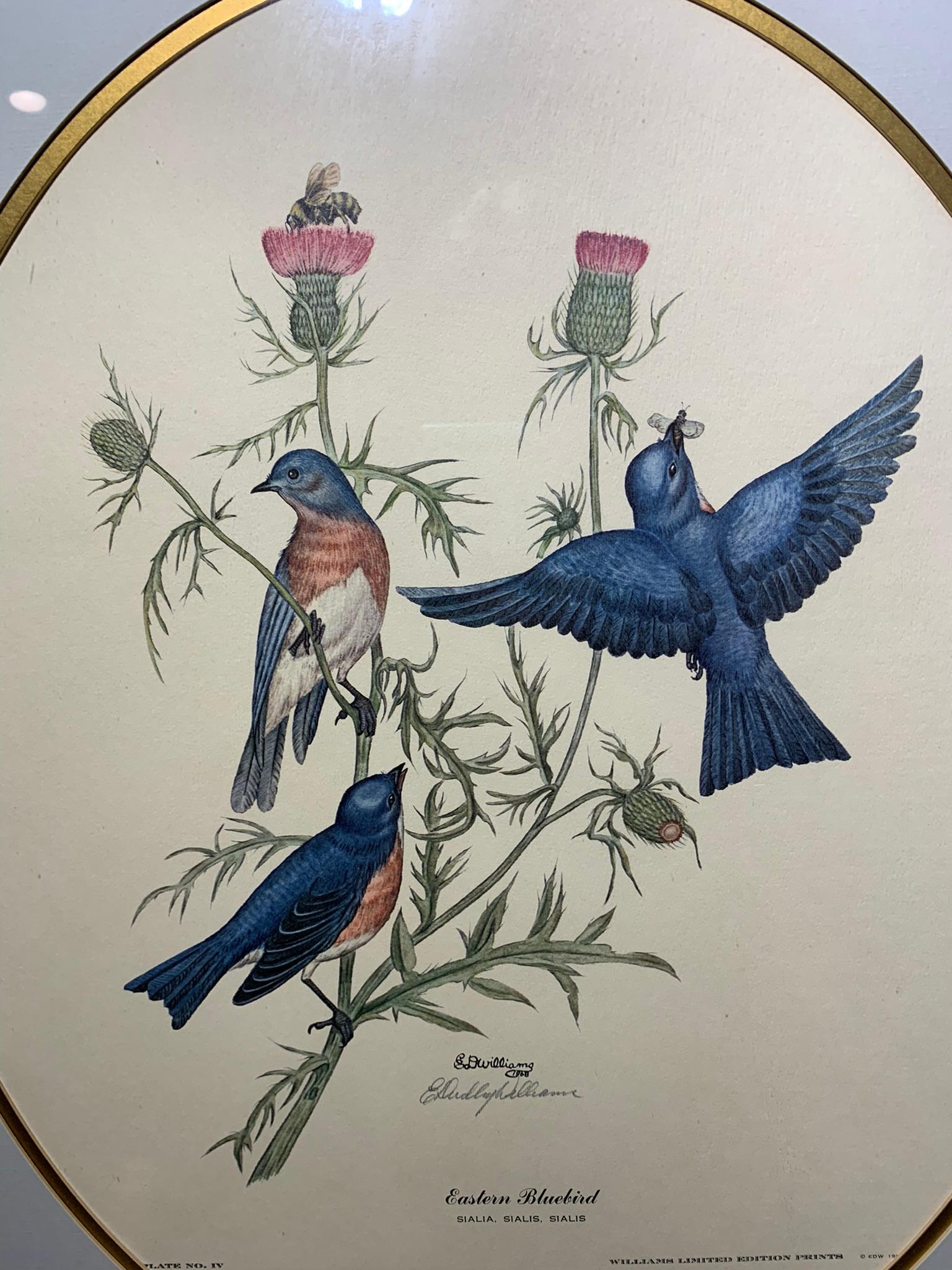 E. Dudley Williams Signed Cardinal Print & Eastern Bluebird Print