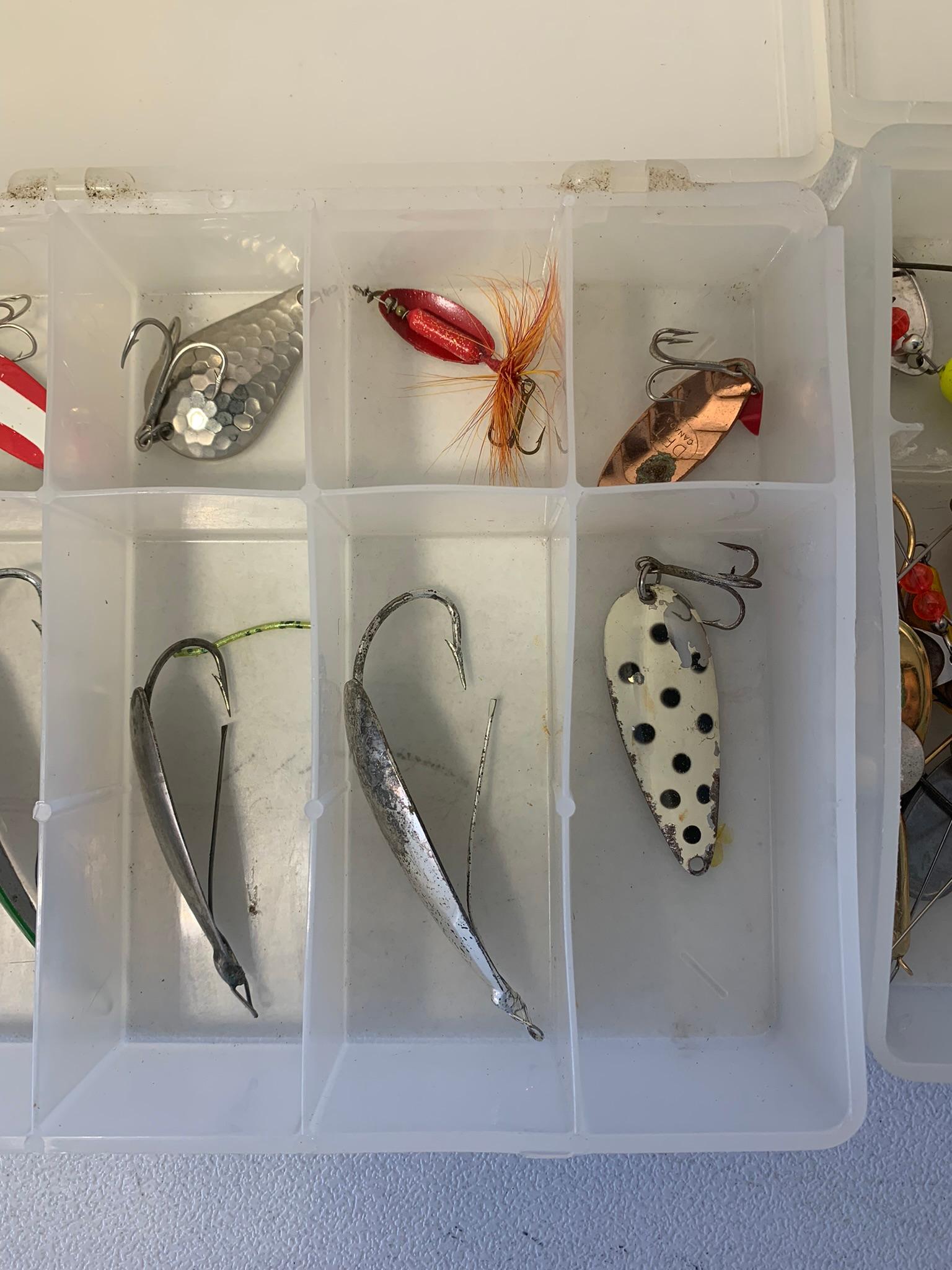 Spoon Bait Fishing Lures, Hard Bait, Berkley Scale,  Jig Baits, Soft Bait  & More