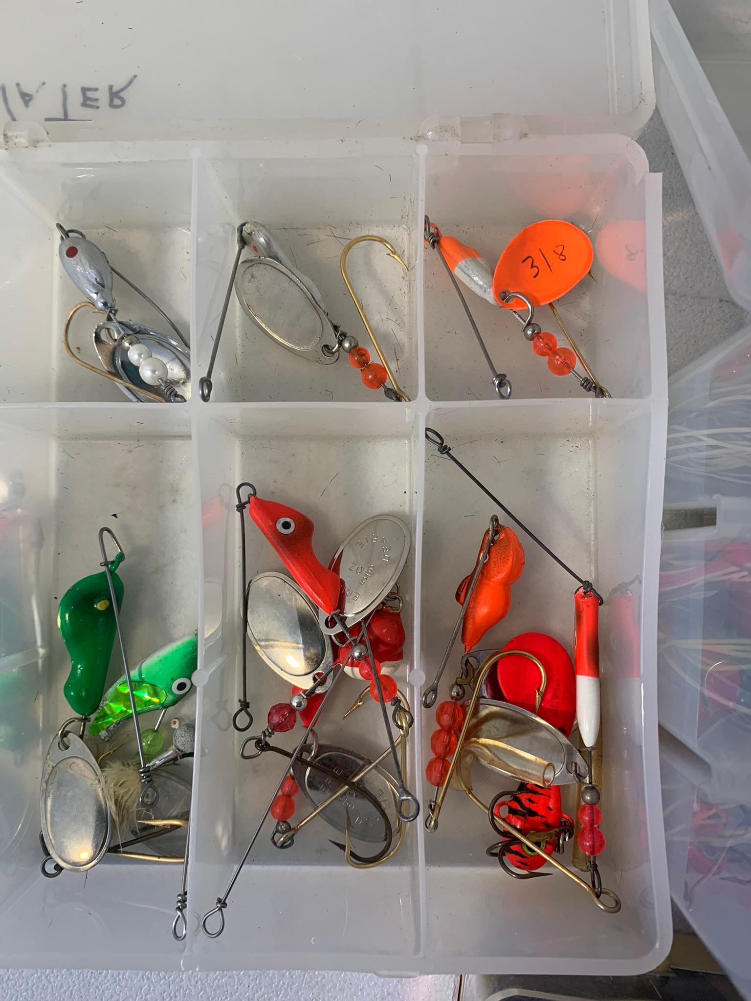 Spoon Bait Fishing Lures, Hard Bait, Berkley Scale,  Jig Baits, Soft Bait  & More