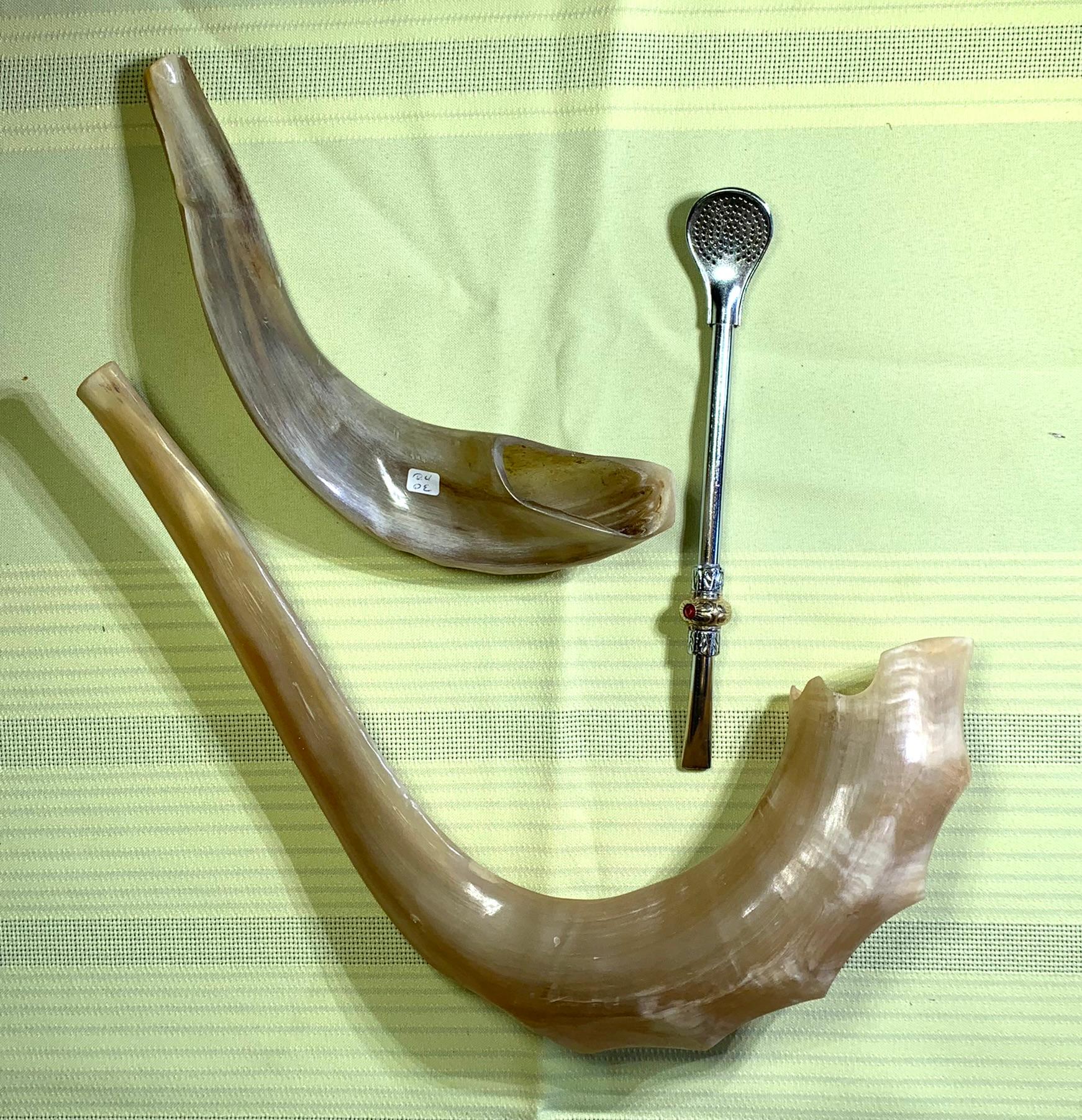 2 Shofar Horns & Jewish Religious Item