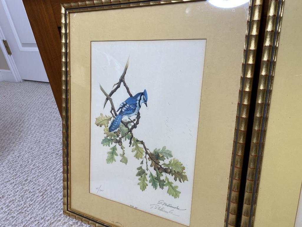 2 Vintage Signed Bird Prints