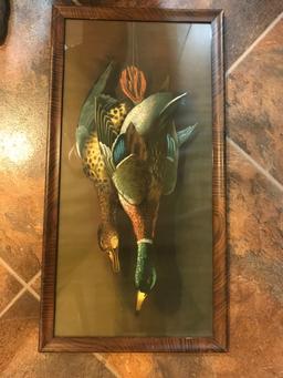 Vintage Duck and Drake Framed Print
