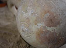 Late Bronze-Iron Age Pilgrim Flask
