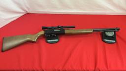 Winchester 190 Rifle