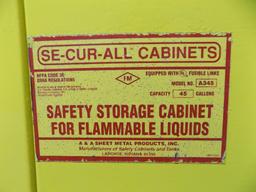 Flammable Cabinet 43"w x 72"t
