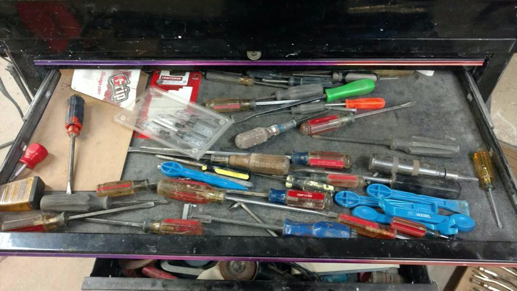 Contents of tool cabinet base including screwdrivers, flange puller, body tools, and Sanders.