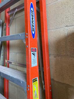 (1) 12' Werner Ladder