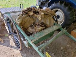 Horse Buggy and Pelts