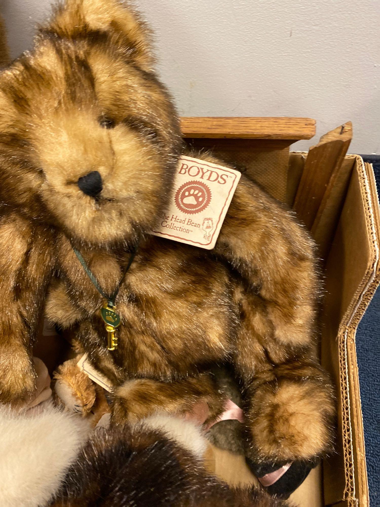 Boyds Bears, Ashton drake gene dolls new in boxes 5 total and 1 dewees Cochran doll with video