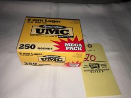 Remington UMC 9mm Luger (250 rounds)