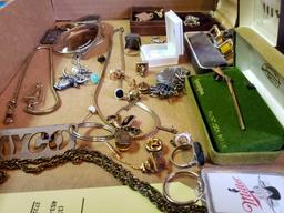 Costume Jewelry and Pins