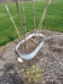 2 galvanized wash tub planters