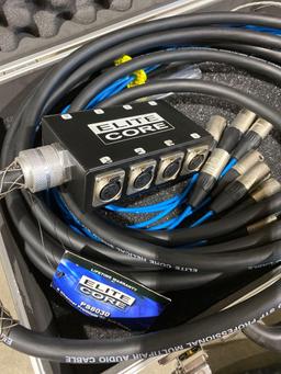 Elite core PS8030 stage snake - like new in case