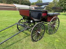 Horse carriage "Suri" voitures Robert & fils